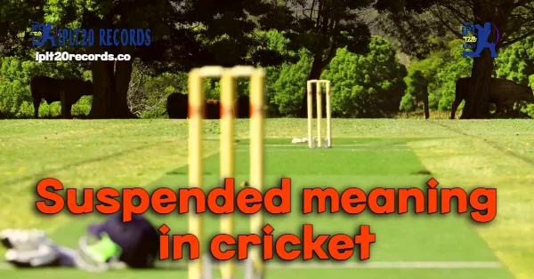Suspended meaning in cricket